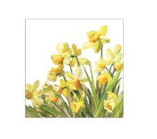 Serviette "Golden Daffodils" 33 x 33 cm 20er Packung